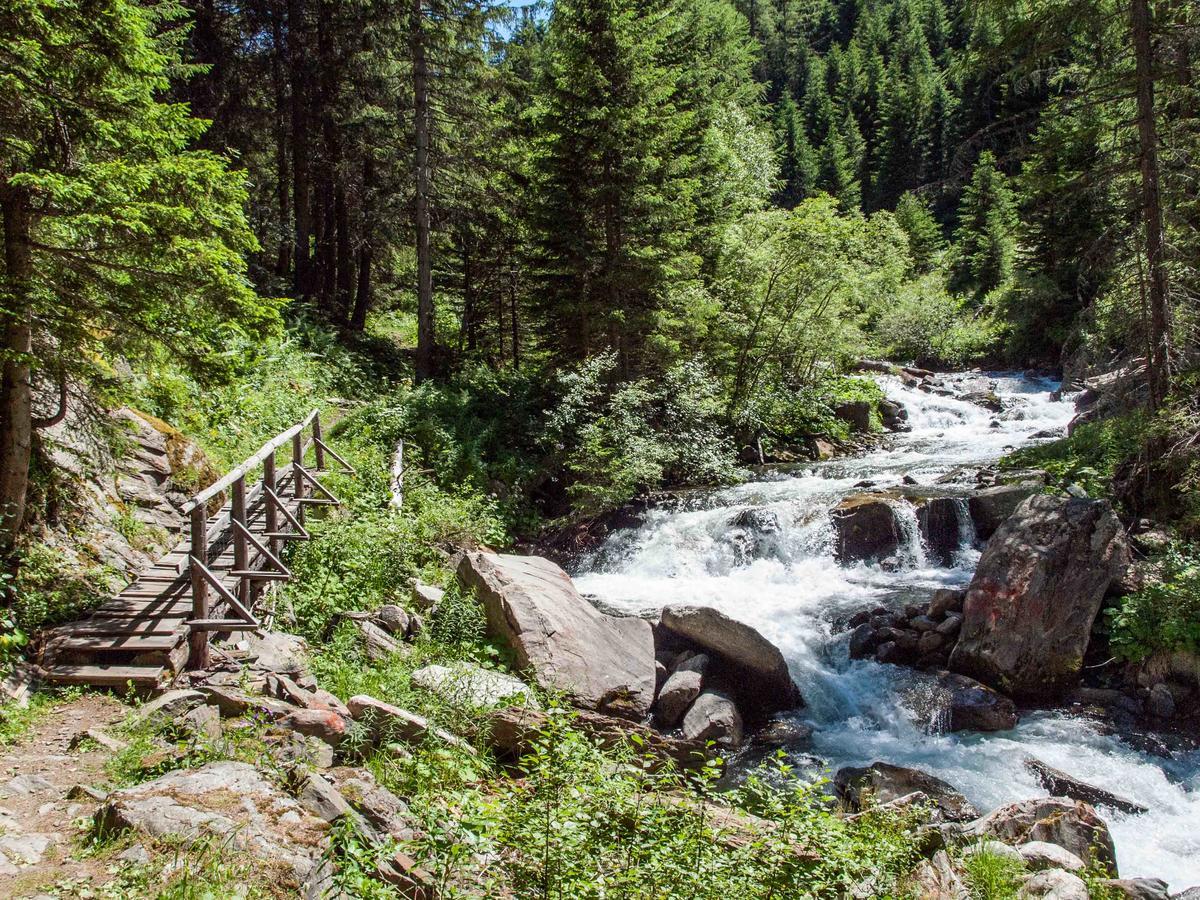 Gruppenhaus Im Walliser Alpstyle Rosswald Екстериор снимка